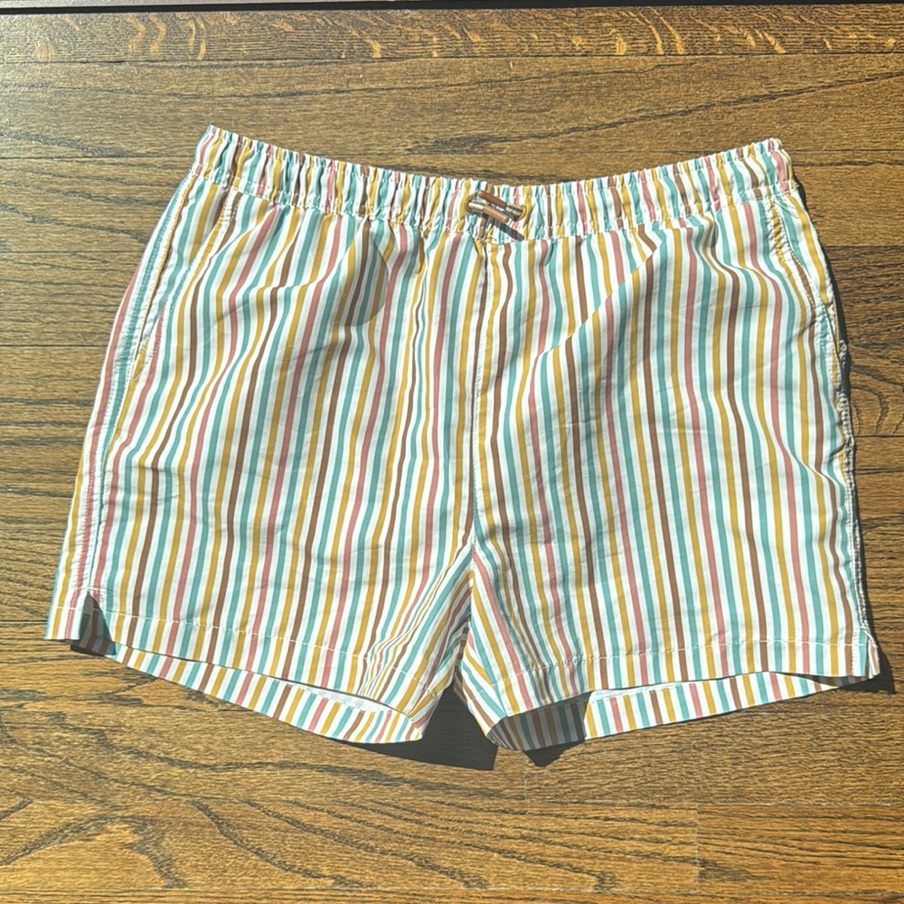 Striped Multicolor Boys swim trunks